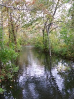Herring Run IMG 4202